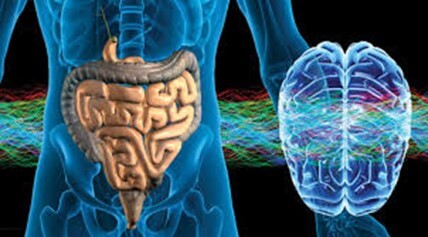 SĂNĂTATEA INTESTINULUI = SĂNĂTATEA CREIERULUI