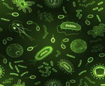 microbion